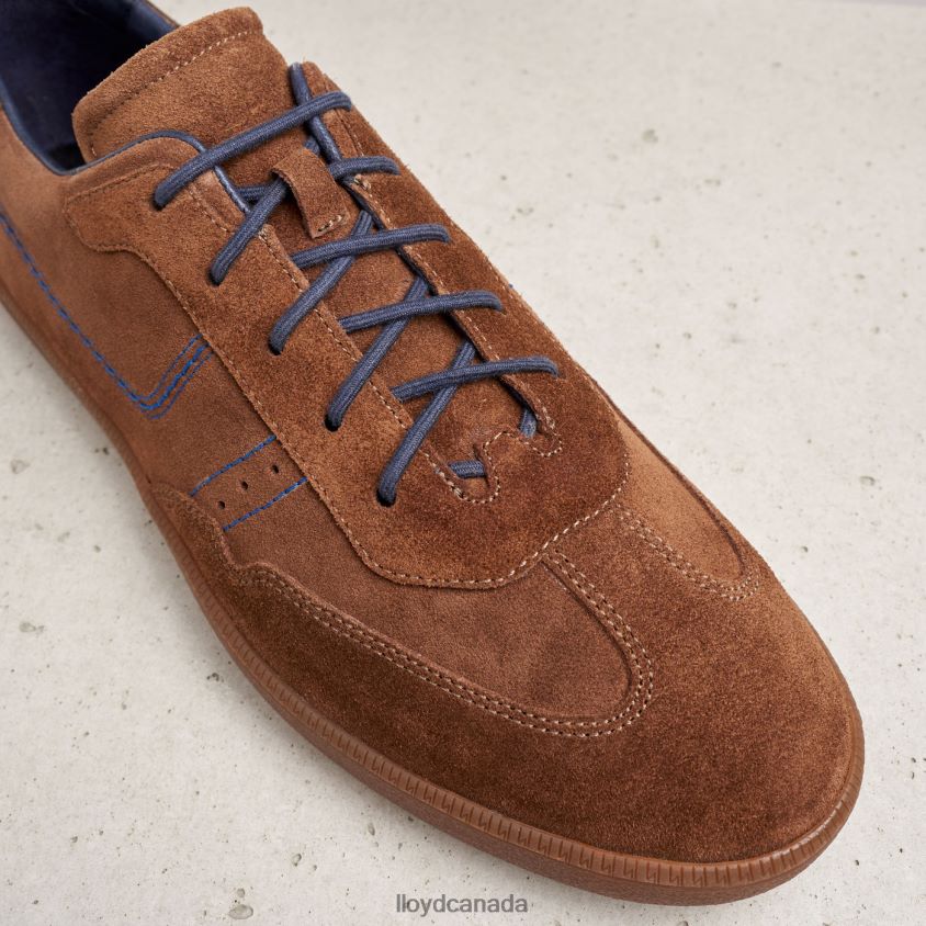 BENEDETTO LLOYD Men brown R084ZF426 Shoes