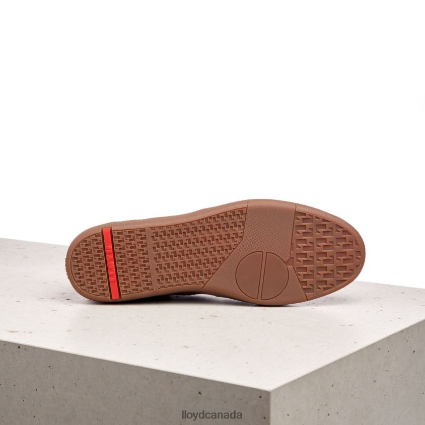 BENEDETTO LLOYD Men brown R084ZF426 Shoes