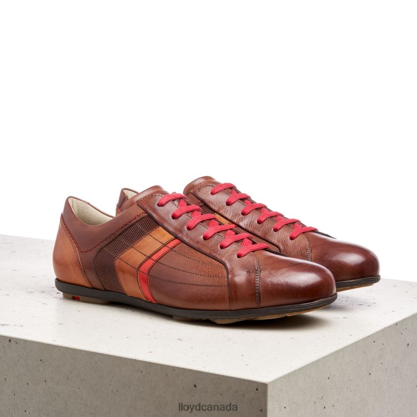 BENSON LLOYD Men brown R084ZF439 Shoes