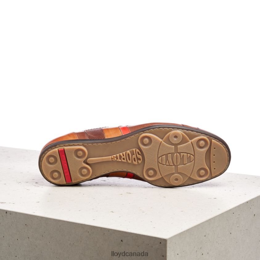 BENSON LLOYD Men brown R084ZF439 Shoes