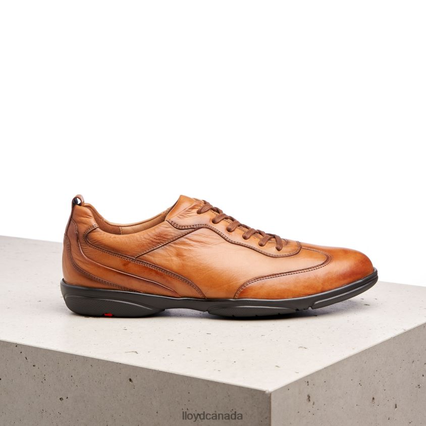 BERN LLOYD Men brown R084ZF436 Shoes