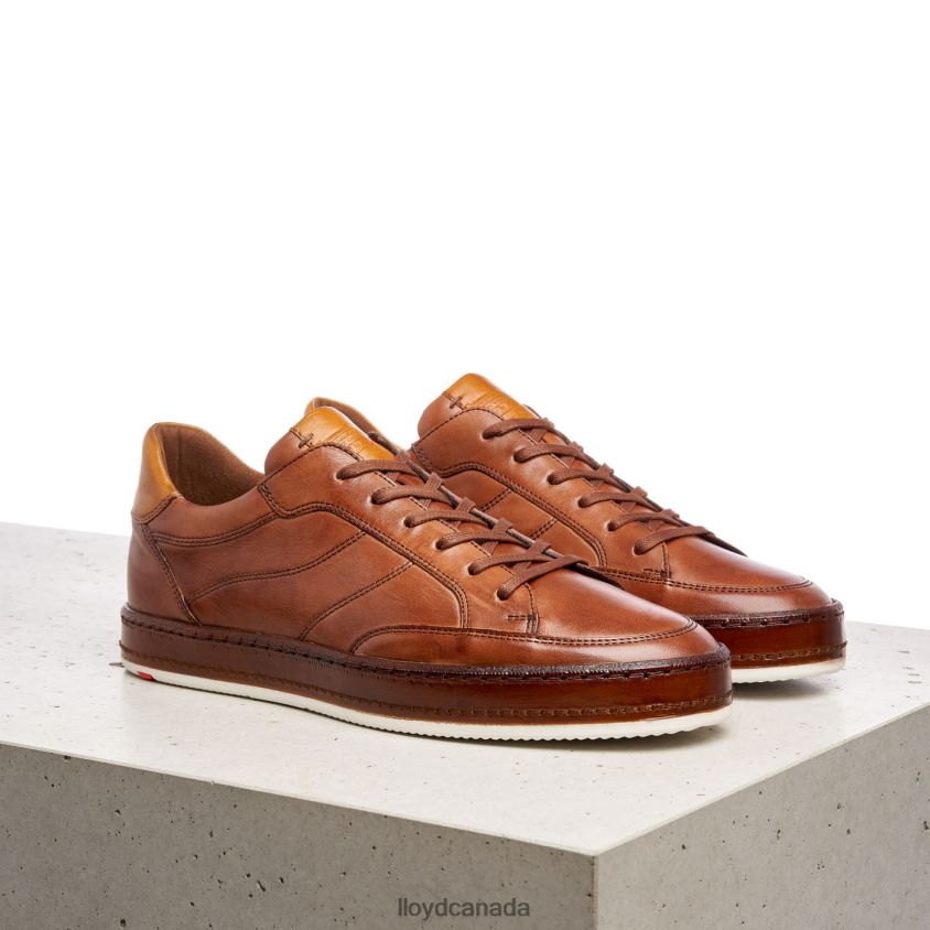 BLACKBURN LLOYD Men brown R084ZF440 Shoes