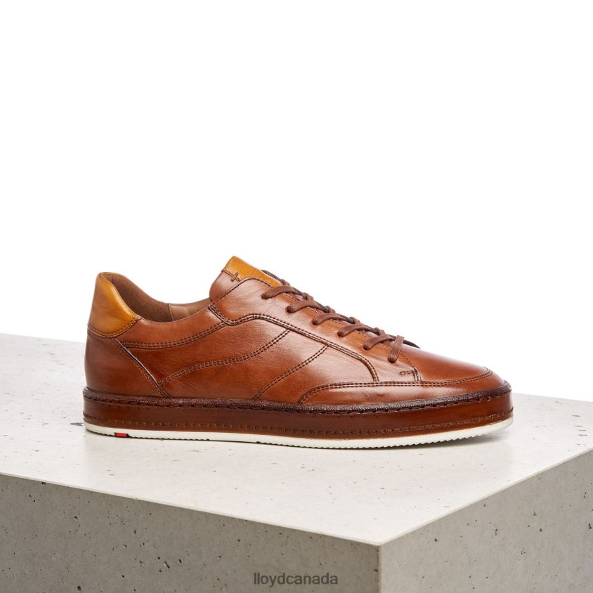 BLACKBURN LLOYD Men brown R084ZF440 Shoes