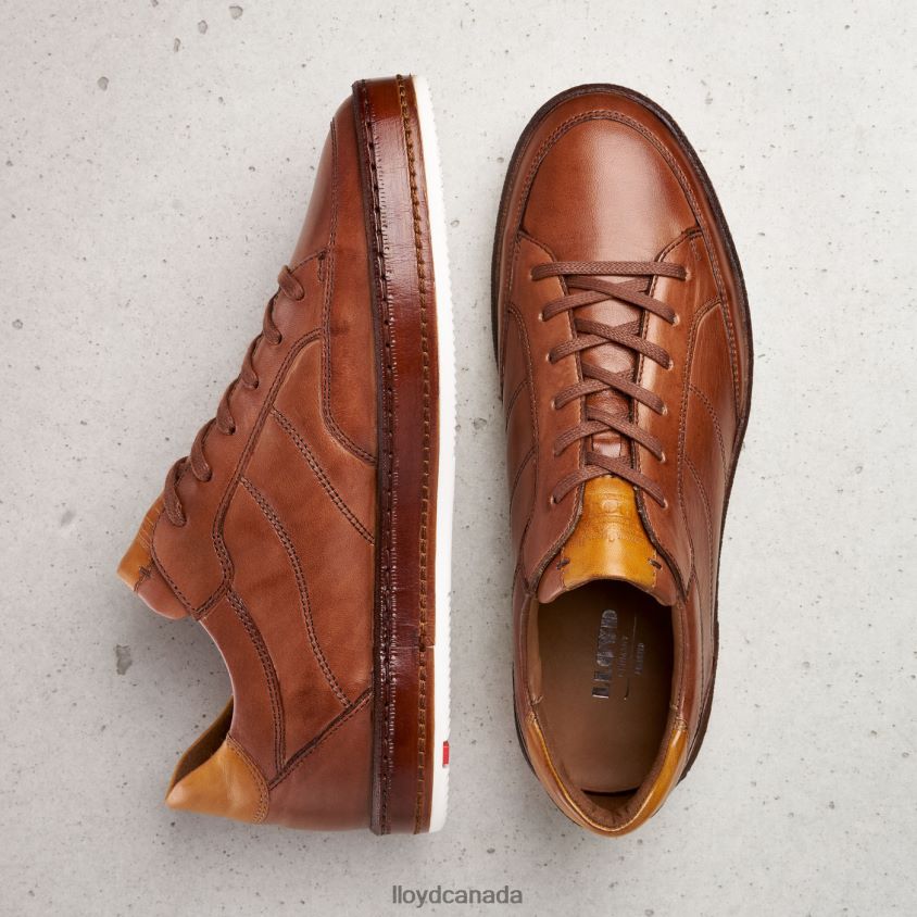 BLACKBURN LLOYD Men brown R084ZF440 Shoes