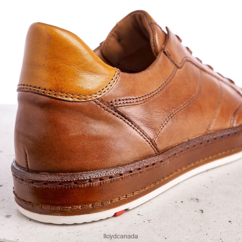 BLACKBURN LLOYD Men brown R084ZF440 Shoes