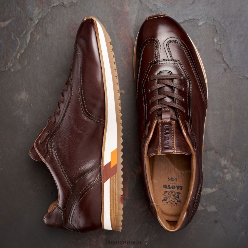 BLAKE LLOYD Men brown R084ZF325 Shoes