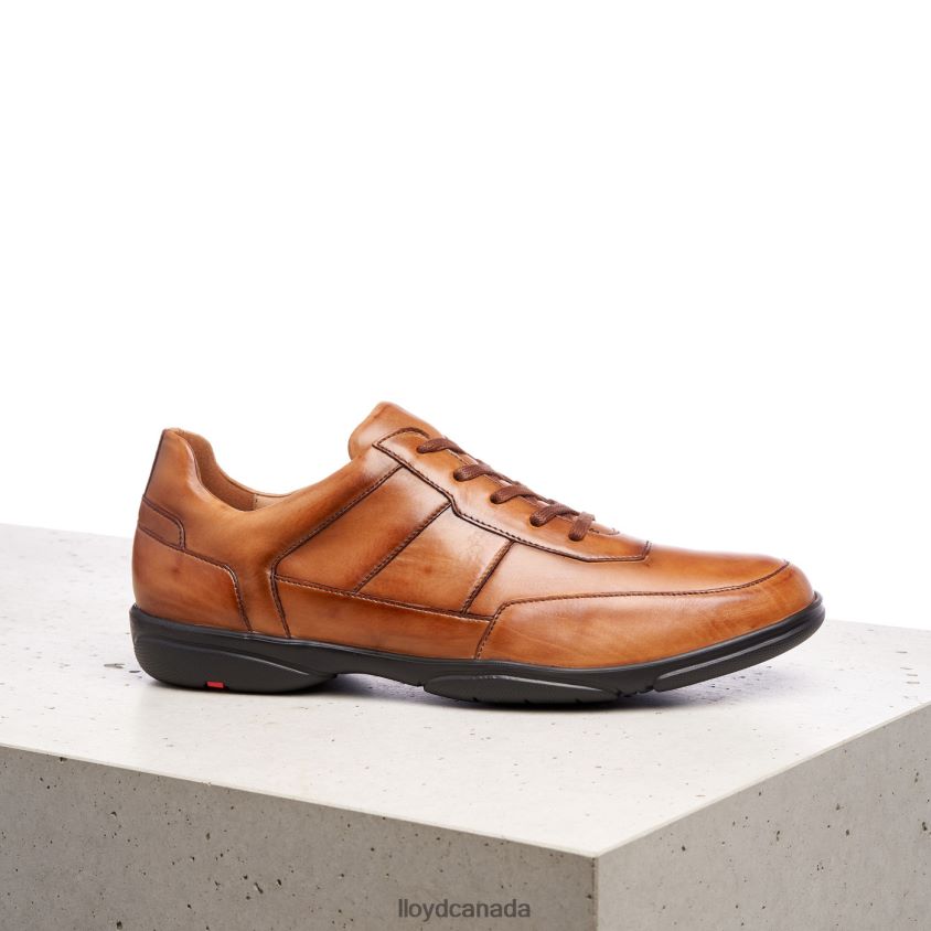 BLOY LLOYD Men brown R084ZF375 Shoes