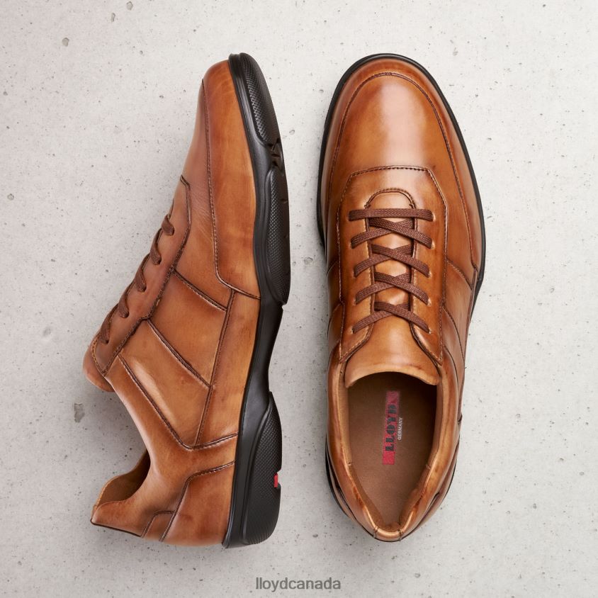 BLOY LLOYD Men brown R084ZF375 Shoes