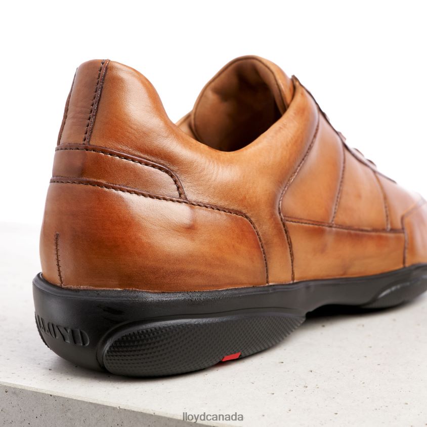 BLOY LLOYD Men brown R084ZF375 Shoes