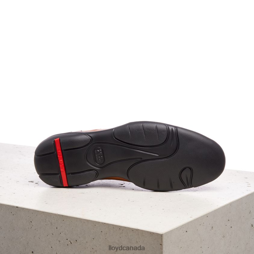 BLOY LLOYD Men brown R084ZF375 Shoes