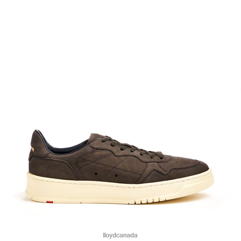 BOGOTA LLOYD Men brown R084ZF300 Shoes