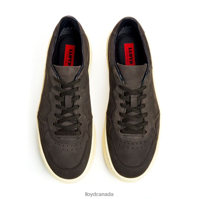 BOGOTA LLOYD Men brown R084ZF300 Shoes