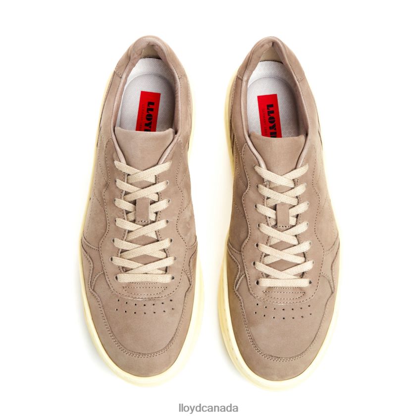 BOGOTA LLOYD Men brown R084ZF301 Shoes