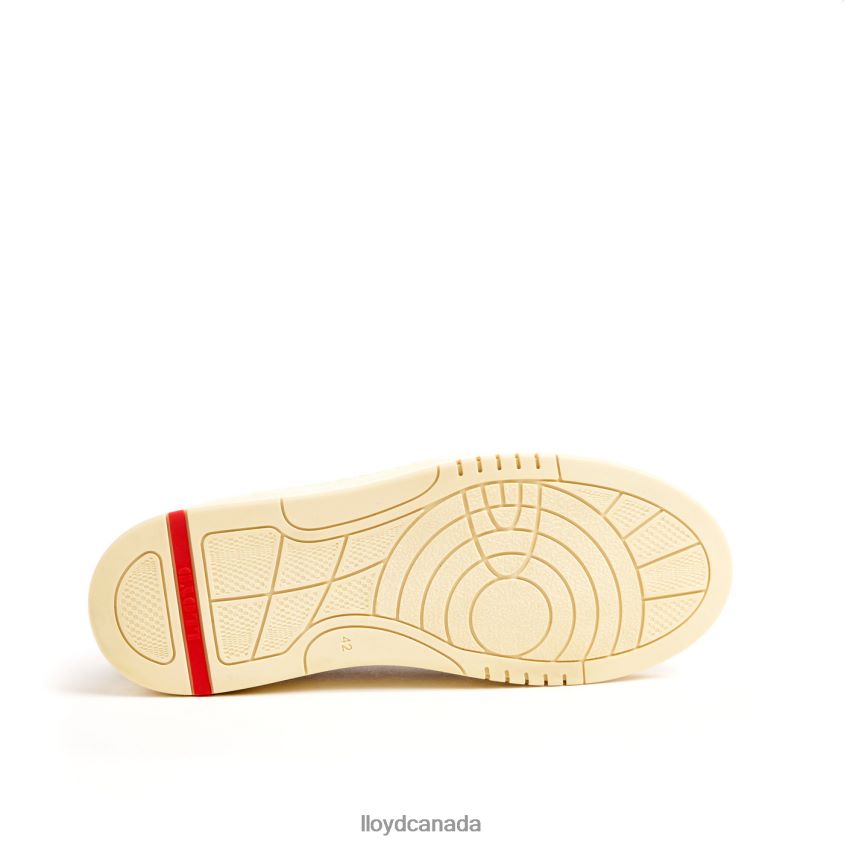 BOGOTA LLOYD Men brown R084ZF301 Shoes