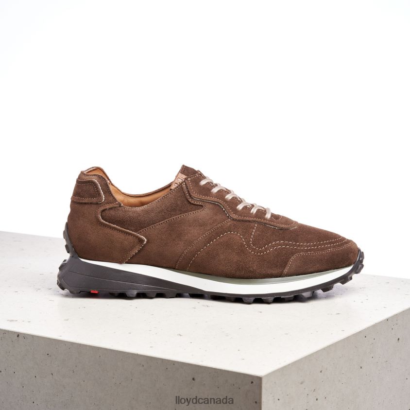 BRENT LLOYD Men brown R084ZF408 Shoes