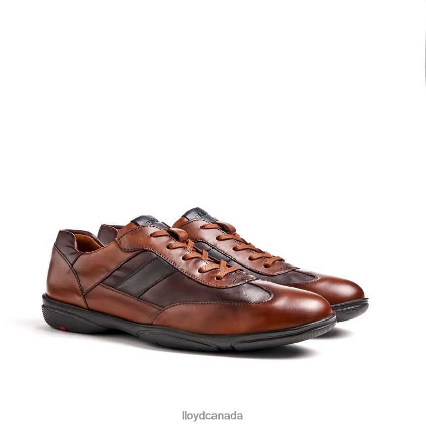 BREVIS LLOYD Men brown R084ZF418 Shoes