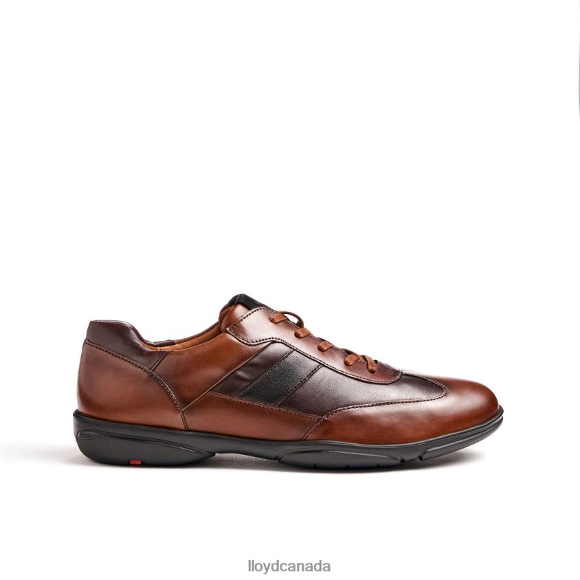 BREVIS LLOYD Men brown R084ZF418 Shoes