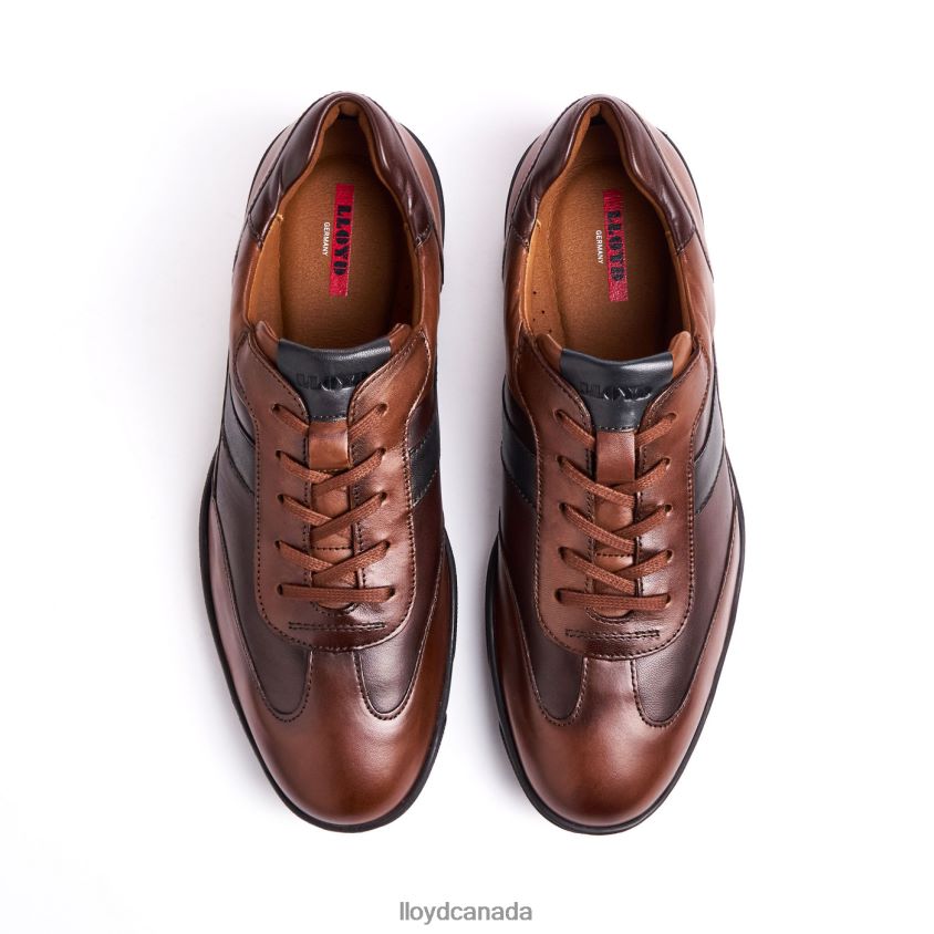 BREVIS LLOYD Men brown R084ZF418 Shoes