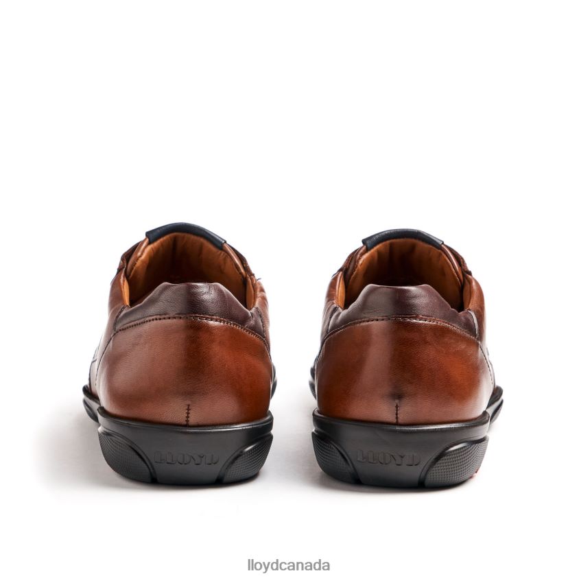 BREVIS LLOYD Men brown R084ZF418 Shoes