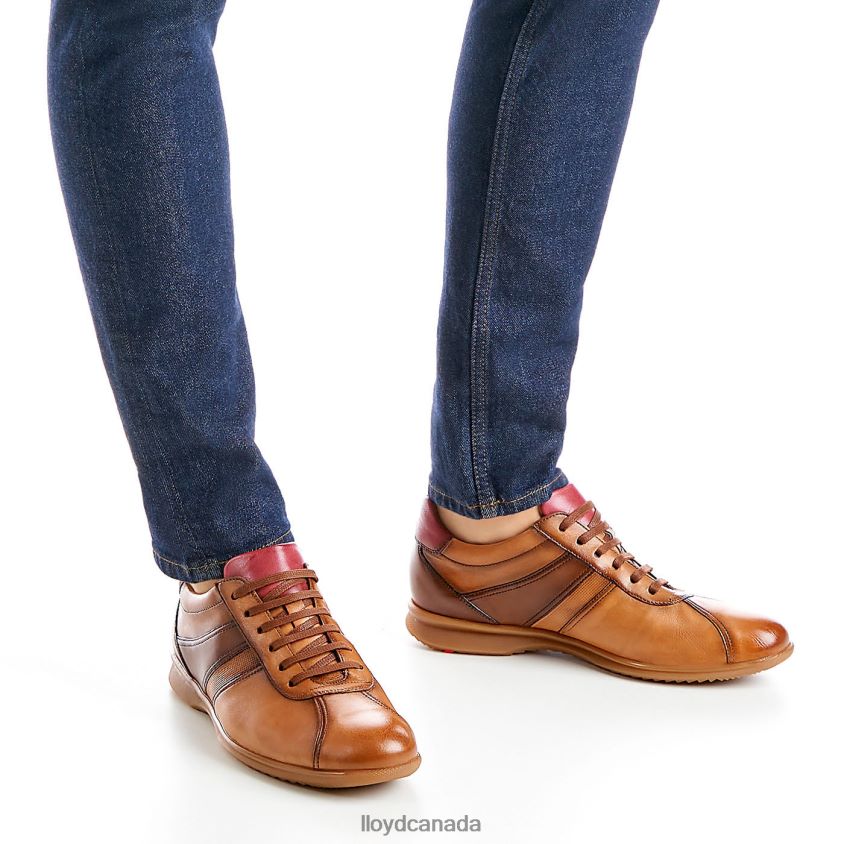 DAVOS LLOYD Men brown R084ZF308 Shoes