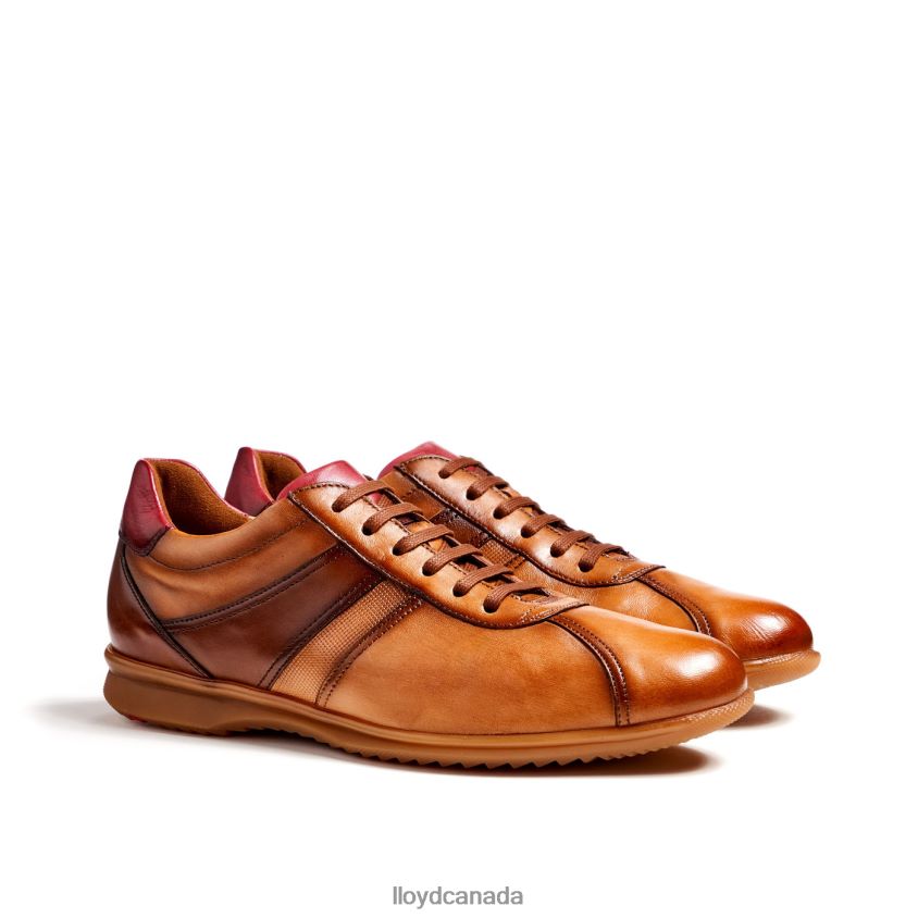 DAVOS LLOYD Men brown R084ZF308 Shoes