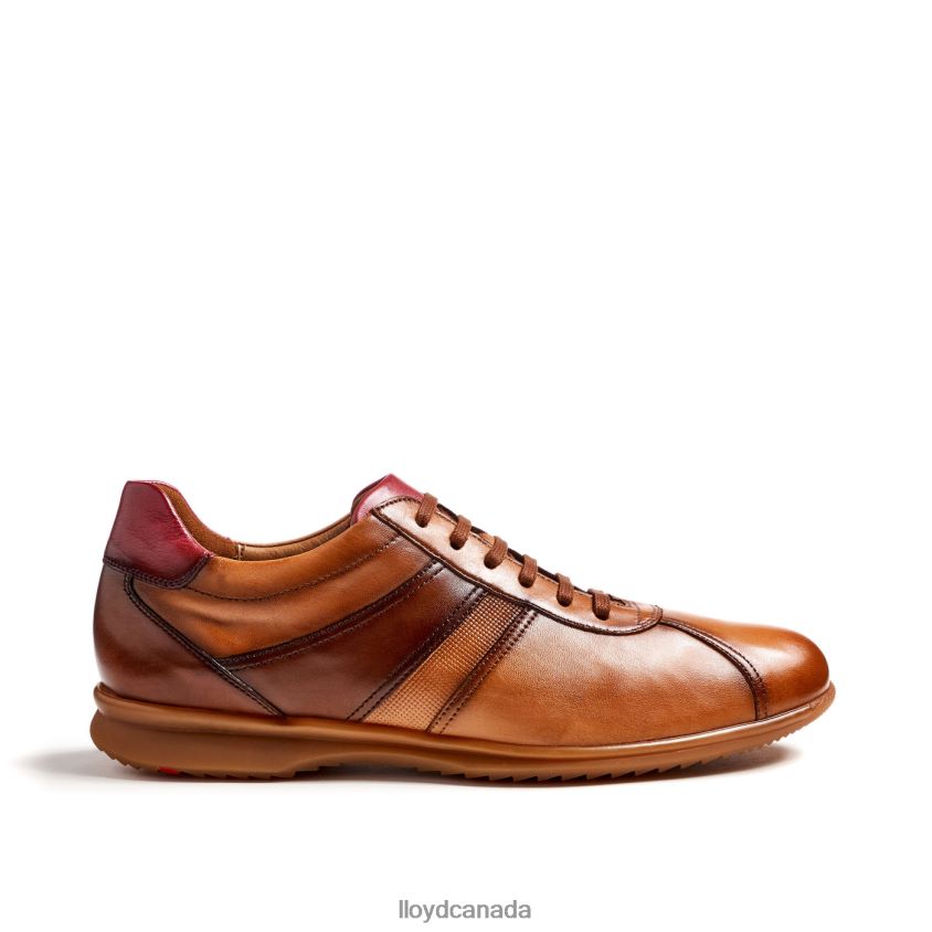 DAVOS LLOYD Men brown R084ZF308 Shoes