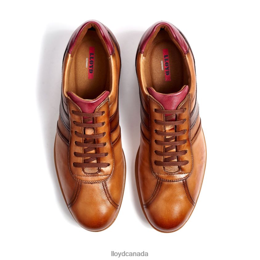 DAVOS LLOYD Men brown R084ZF308 Shoes
