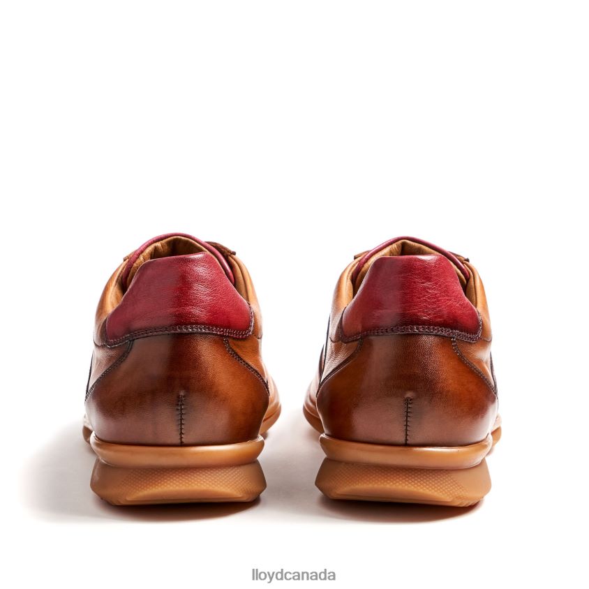 DAVOS LLOYD Men brown R084ZF308 Shoes