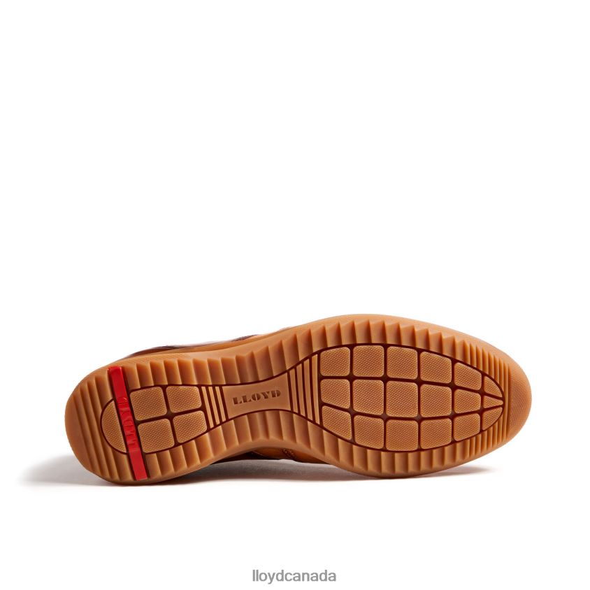 DAVOS LLOYD Men brown R084ZF308 Shoes