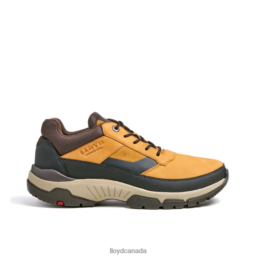 EBE LLOYD Men brown R084ZF295 Shoes