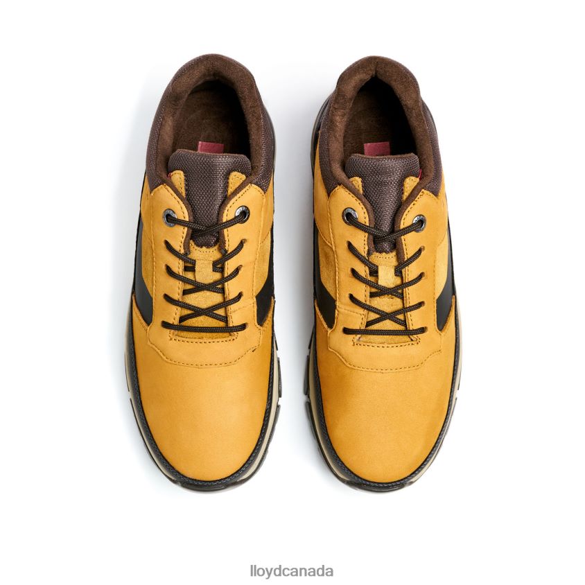 EBE LLOYD Men brown R084ZF295 Shoes