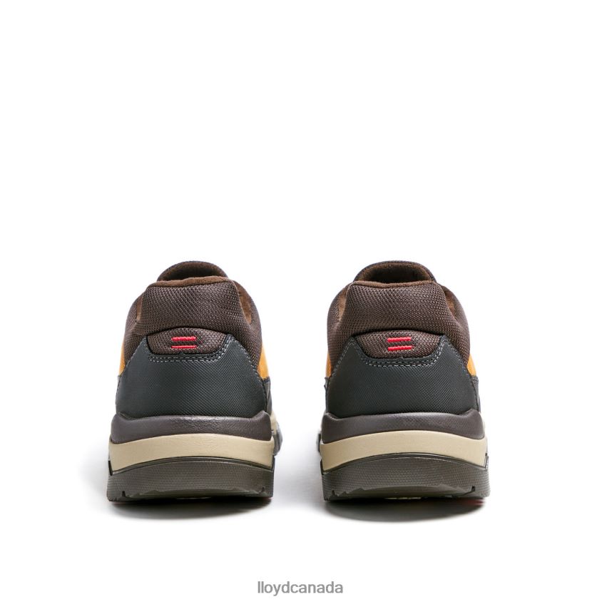 EBE LLOYD Men brown R084ZF295 Shoes