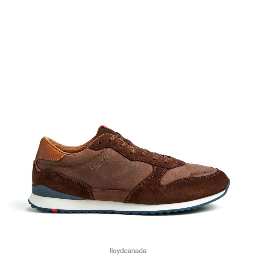 EDMOND LLOYD Men brown R084ZF290 Shoes