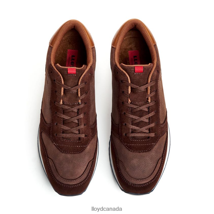 EDMOND LLOYD Men brown R084ZF290 Shoes