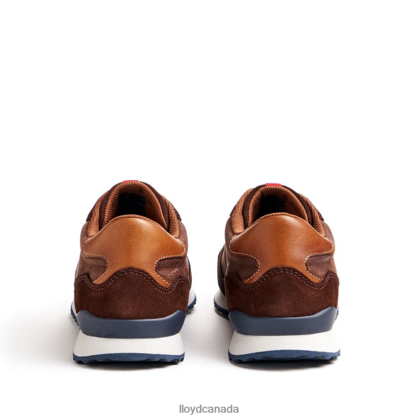 EDMOND LLOYD Men brown R084ZF290 Shoes