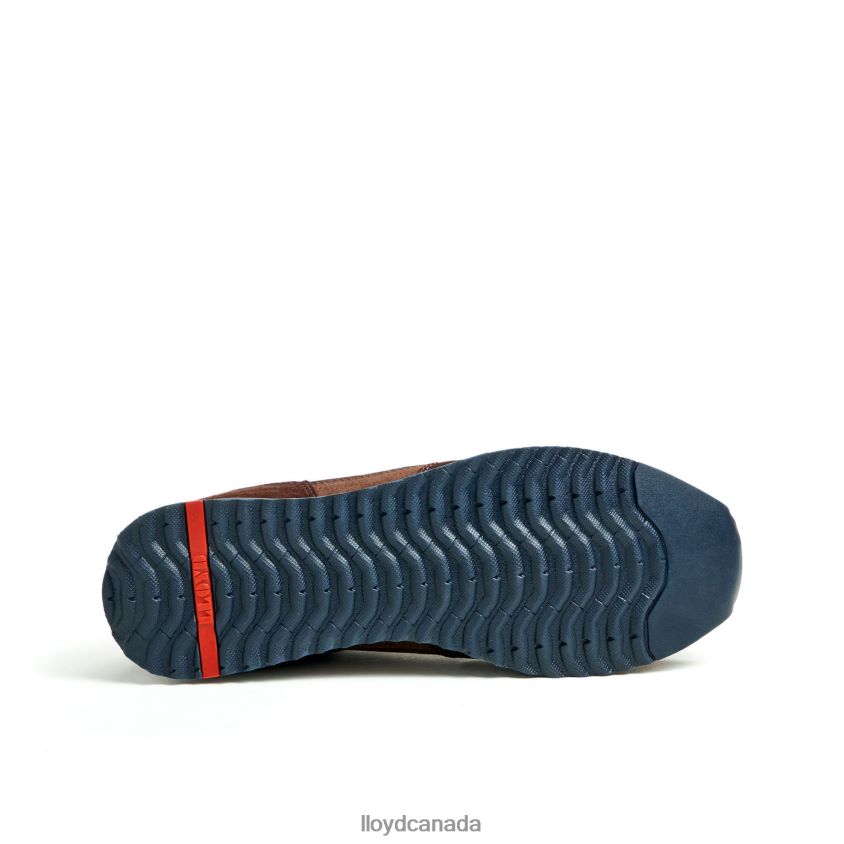EDMOND LLOYD Men brown R084ZF290 Shoes