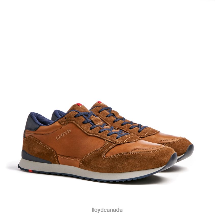 EDMOND LLOYD Men brown R084ZF310 Shoes