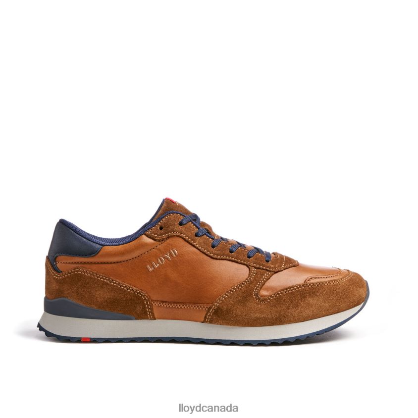 EDMOND LLOYD Men brown R084ZF310 Shoes