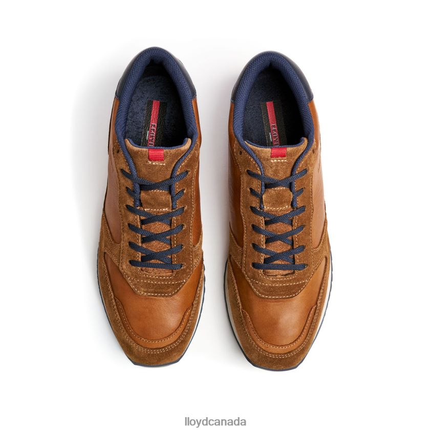 EDMOND LLOYD Men brown R084ZF310 Shoes