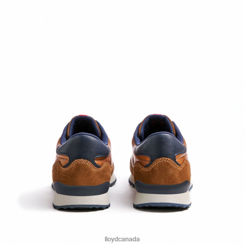 EDMOND LLOYD Men brown R084ZF310 Shoes