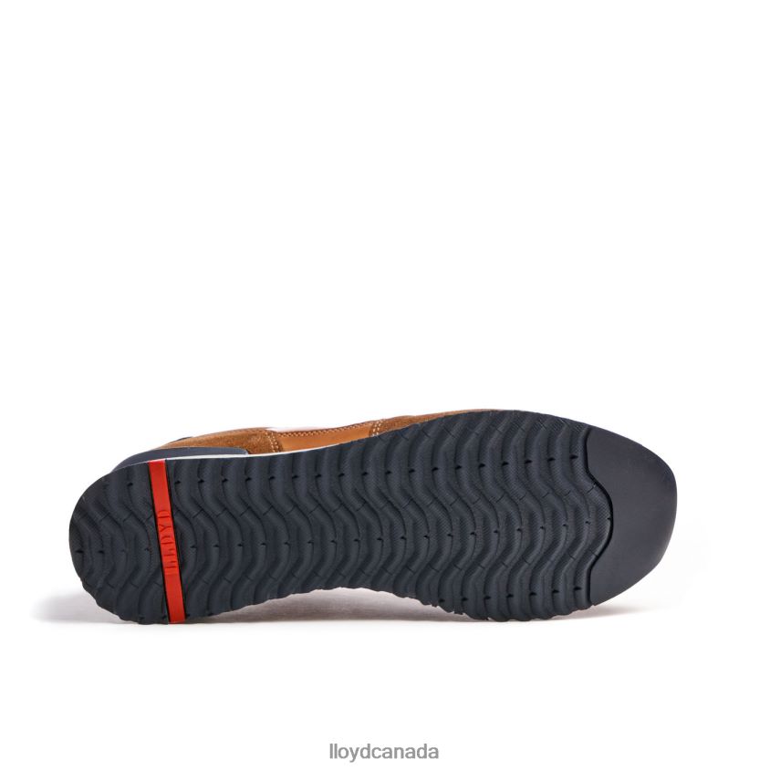 EDMOND LLOYD Men brown R084ZF310 Shoes