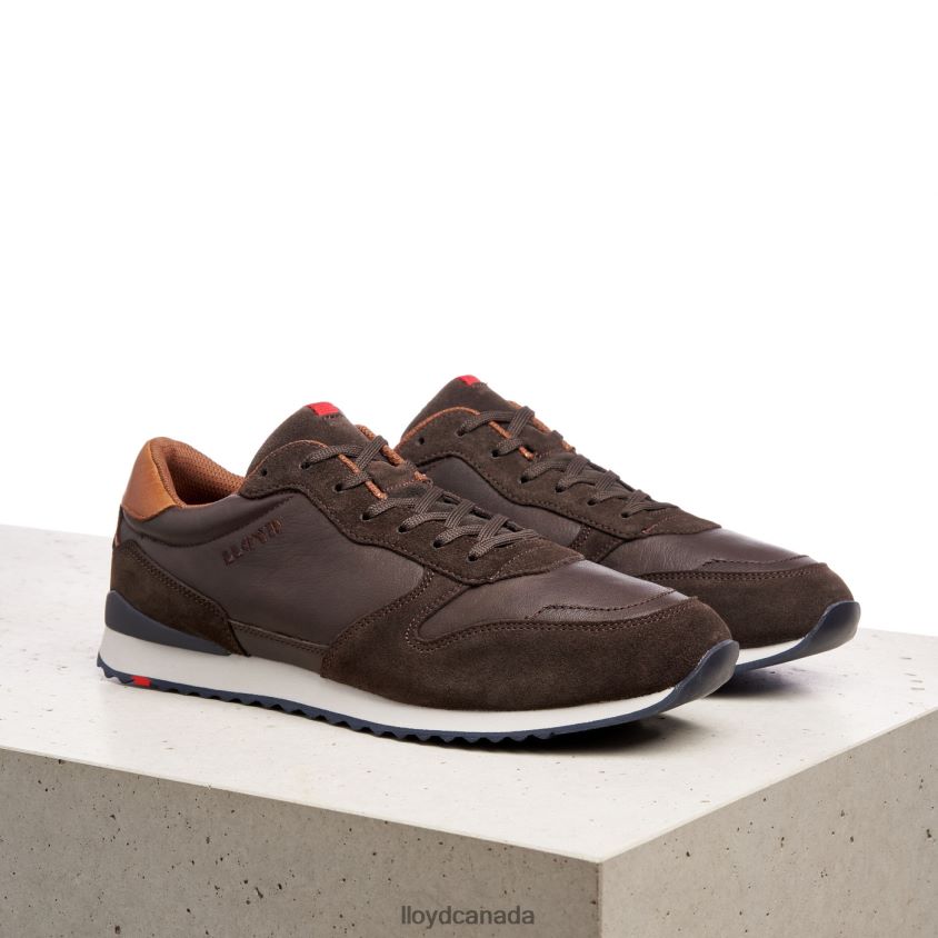 EDMOND LLOYD Men brown R084ZF401 Shoes