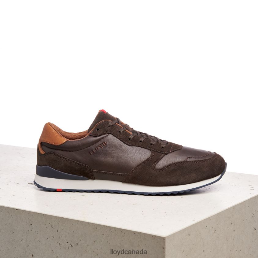 EDMOND LLOYD Men brown R084ZF401 Shoes