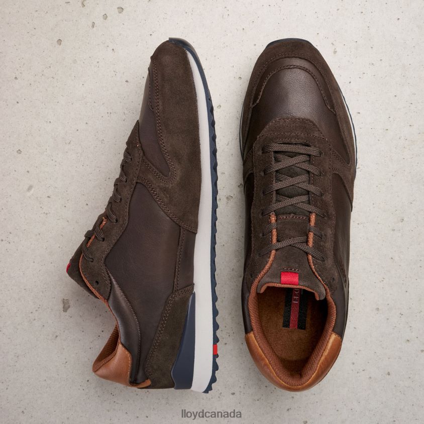 EDMOND LLOYD Men brown R084ZF401 Shoes