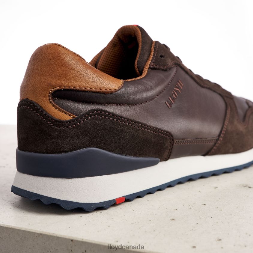 EDMOND LLOYD Men brown R084ZF401 Shoes