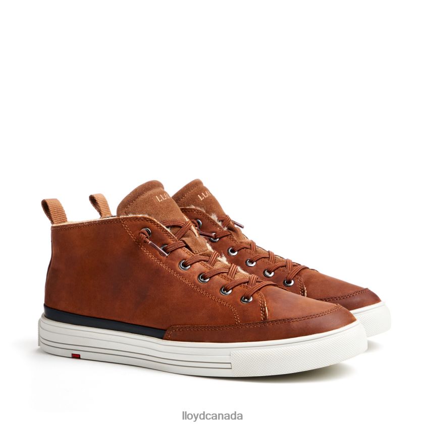 EDWARD LLOYD Men brown R084ZF298 Shoes