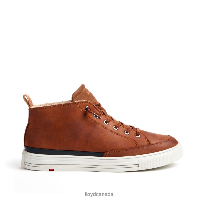 EDWARD LLOYD Men brown R084ZF298 Shoes