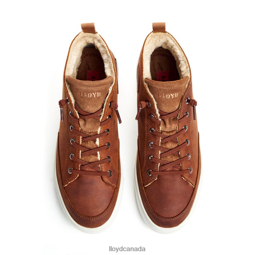 EDWARD LLOYD Men brown R084ZF298 Shoes