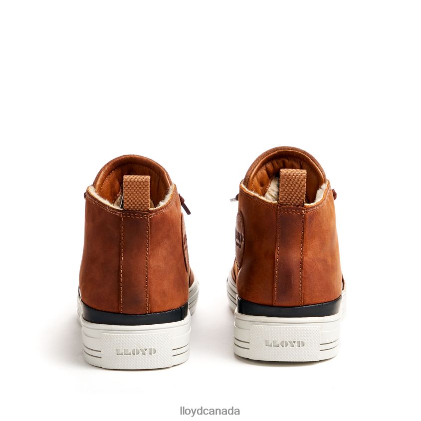 EDWARD LLOYD Men brown R084ZF298 Shoes