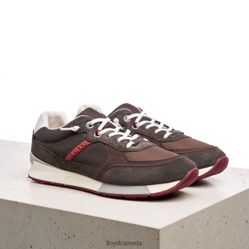 EGIDIO LLOYD Men brown R084ZF432 Shoes